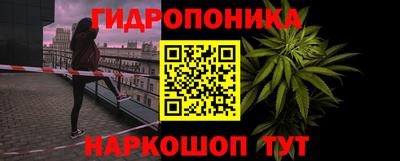 ГАЛЛЮЦИНОГЕННЫЕ ГРИБЫ Камышлов