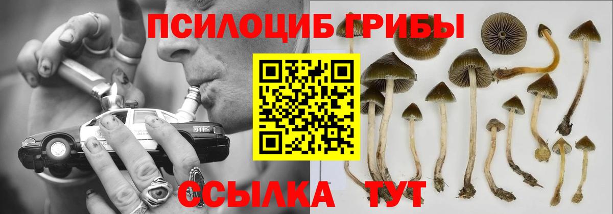 Галлюциногенные грибы мухоморы Щёлково